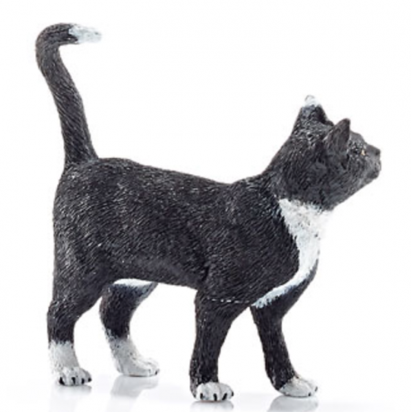 KATZE SCHWARZ - STEHEND